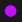 Punto Morado